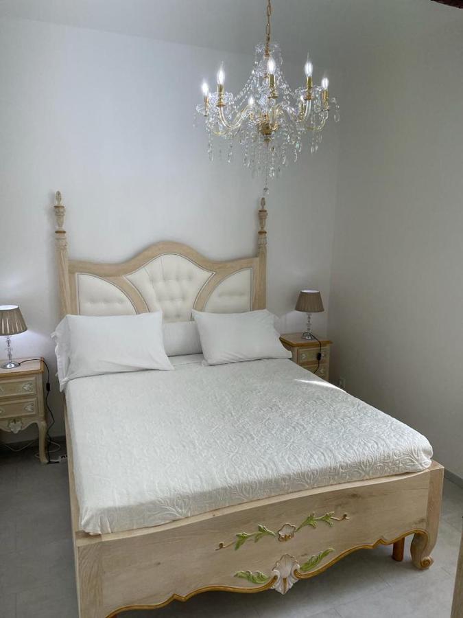 נרבון Maison Du Cloitre Couvent Des Carmes מראה חיצוני תמונה